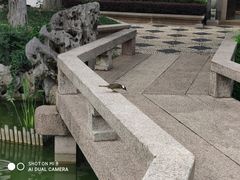 -檀园