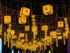 -广西壮族自治区药用植物园