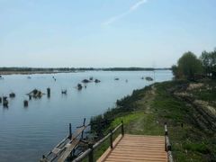 -白渔泡湿地公园