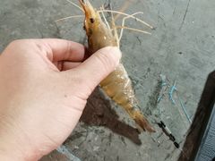 -光头佬钓虾场·烧烤·聚餐·亲子(金沙洲店)