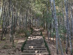 -杭州半山国家森林公园