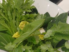 -草原传奇鲜羊火锅(桥北店)