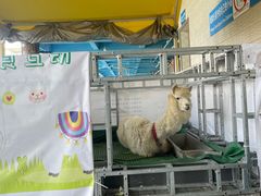 -黄金海岸水上乐园