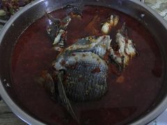 -风鑫铃罗非鱼(道沟店)
