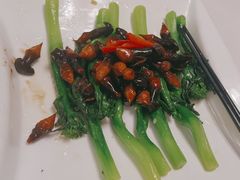 -陶缘一号·四季缘·老字号顺德菜·户外婚礼家宴(西滘店)