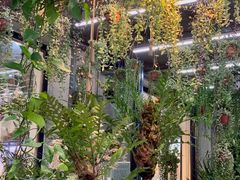 -溪岸路花鸟市场