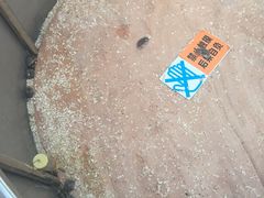 -自贡好吃客(科华店)