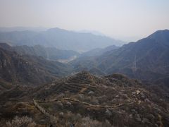 -大岭沟猕猴桃谷风景区