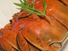 -吴越荣记苏州菜·松鼠桂鱼100%活鱼现做(月光码头店)