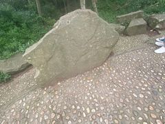 -上海佘山国家森林公园天马山园