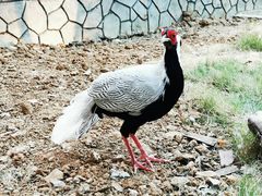 -南京金牛湖风景区