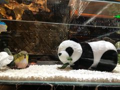 -红辣椒·川菜·火锅(大洋中心店)