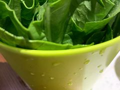 生菜-九府羊·鲜羊火锅·烤串(新华路店)