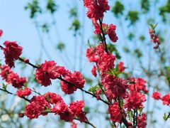 -重庆彩云湖湿地公园