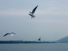 -蠡湖大桥公园