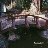 深圳园博园打卡