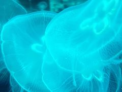 -石林冰雪海洋世界