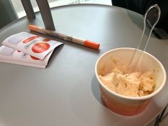 -DIP in GELATO(富民路店)