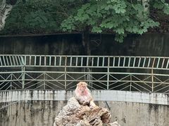 -攀枝花公园