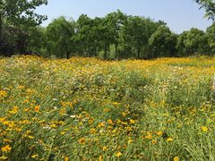 -HONGA HONGA雄家(曹路店)
