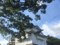 -名古屋城