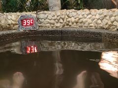 -明月山天沐温泉度假村