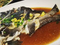 清蒸胖头鱼-大灶头·新昌菜(中国茶市店)