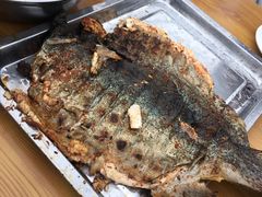 -可心烤鱼