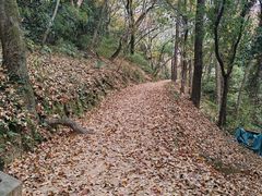 -峙山公园
