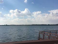 -丁香湖公园