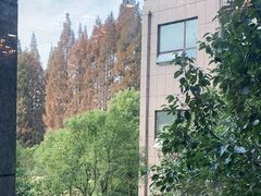 -金岛生态园烧烤露营地