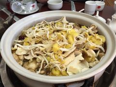 -东巴谷野生菌火锅餐厅