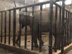 -石家庄市动物园