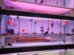 -三旗百汇商品城