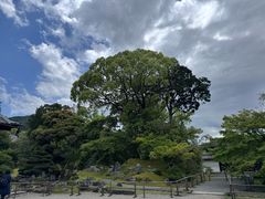 -醍醐寺