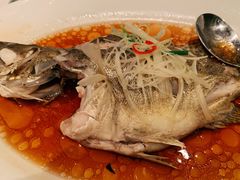 -东方明珠老上海8号餐厅(东方明珠广播电视塔店)