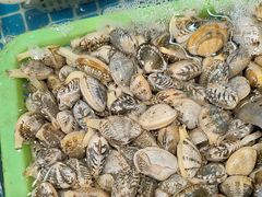 -和源祥·日照菜扛把子(万平口一店)