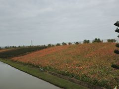 -迪茵湖田家舍生态农场