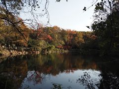 -灵谷景区