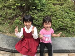 -江心岛