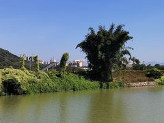 -风云岭森林公园