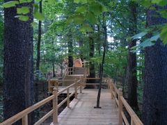 -五营红松林海景区