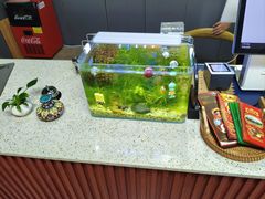 -土耳其卡巴布清真餐厅(西安店)