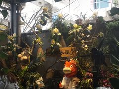 -啰啰冰屋(景洪总店)