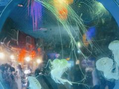 -太平洋海底世界