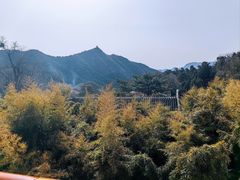 -潭柘寺景区