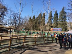 -北京动物园