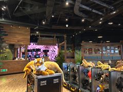 -珠海横琴国家地理探险家中心(创新方)