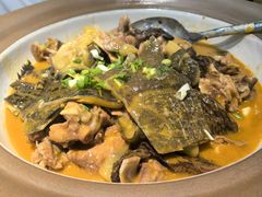-洞庭家宴·头牌甲鱼(广渠门店)
