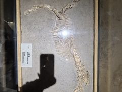 -烟台市博物馆